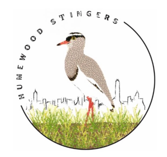 Humewood Stingers